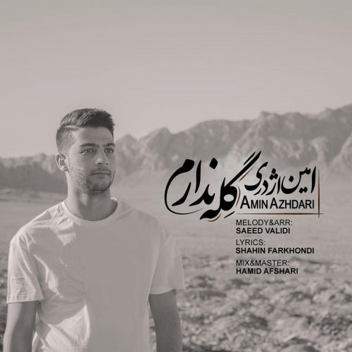 Amin Azhdari   –   Gele Nadaram